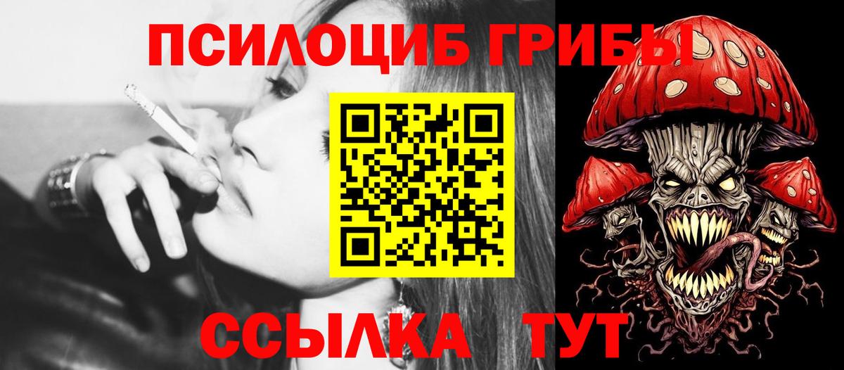Кингисепп  Галлюциногенные грибы Cubensis  Вход с VPN  что такое   Псилоцибиновые грибы мицелий 