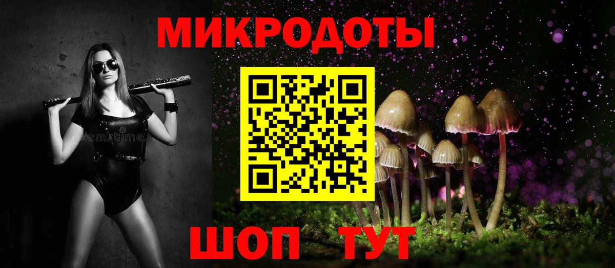 Кингисепп  NBOMe  Марихуана  LSD-25  Меф   Вход с VPN  ГАШ  КОКАИН  Марихуана  КЕТАМИН 