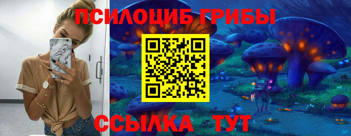 Галлюциногенные грибы Cubensis Кингисепп